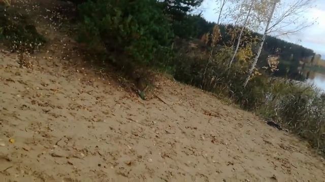 Ледяная вода