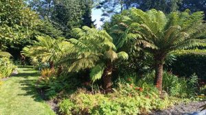 Short: Beautiful Gardens | MILNTOWN GARDENS 🇮🇲 ISLE OF MAN tEAvEE