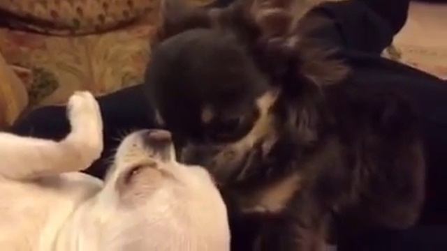 любовь не знает границ смотреть онлайн