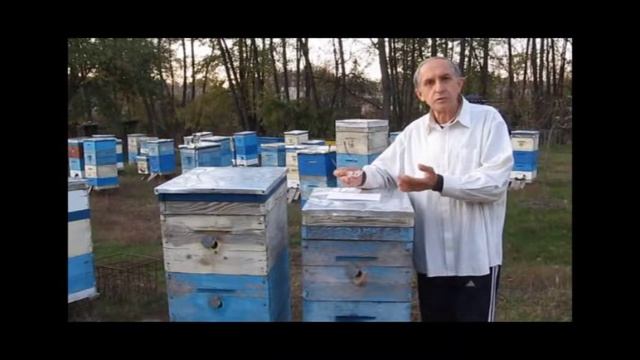 30.01.20 г. Z-рация, канал "#Творческое_пчеловодство" #Малыхин В.Е., общение в режиме «вопрос-ответ