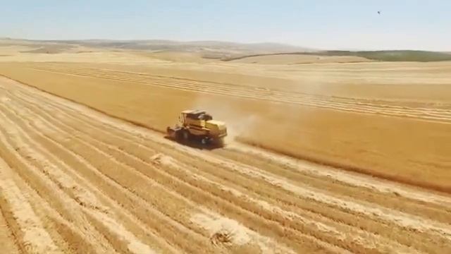 2016 sezonu biçim TC 5070 смотреть онлайн