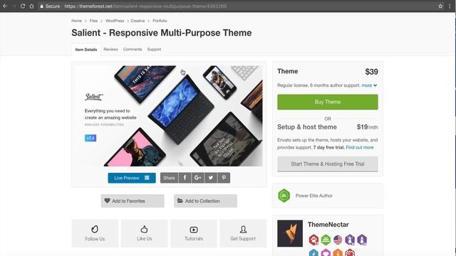 How To Create A Beautiful Website With Salient Theme For WordPress смотреть онлайн