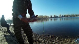 карась,карась в Дону