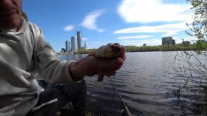 Ловля леща на фидер и новая бюджетная плетёнка! Мне понравилось?