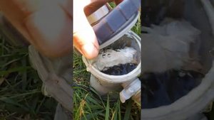 Хлорирование бассейна с помощью водяного насоса
