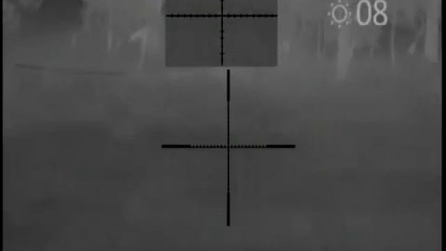 Неудачный выстрел Тепловизор Pulsar APEX XD75 смотреть онлайн