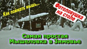 Самая простая Мышеловка в Зимовье