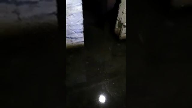 Затопленный подвал дома ул. Парковой 25 села Чехов