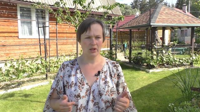 Мой уход за техническими сортами винограда. Посадка и формировка смотреть онлайн