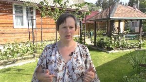 Мой уход за техническими сортами винограда. Посадка и формировка