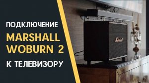 Подключение Marshall Woburn 2 к телевизору. How to connect Marshall Woburn 2 to your TV.