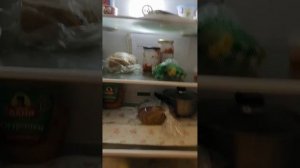 Обзор холодильника Бирюса cd 466