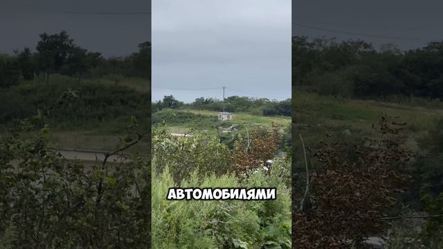 Вымирающий «Зеленый угол» 😬 некогда легендарное место … #транзитавто #автоизяпонии #зеленыйугол