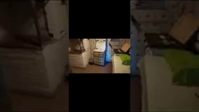 Зимний дом в деревне Голыгино (есть возможность зарегистрировать как жилой). смотреть онлайн