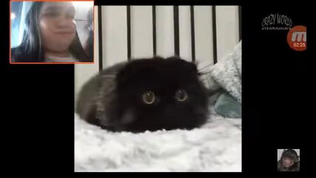 Попробуй не за смеятся челендж смотреть онлайн