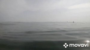 15 ноября 2023 г. Фуджейре оаэ . Море волны