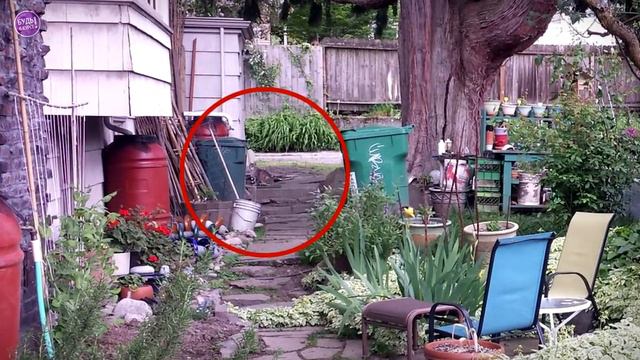 Попробуй НАЙТИ КОТА, часть 11 🐈 Пока никто не нашел всех 🐈 БУДЬ В КУРСЕ TV смотреть онлайн