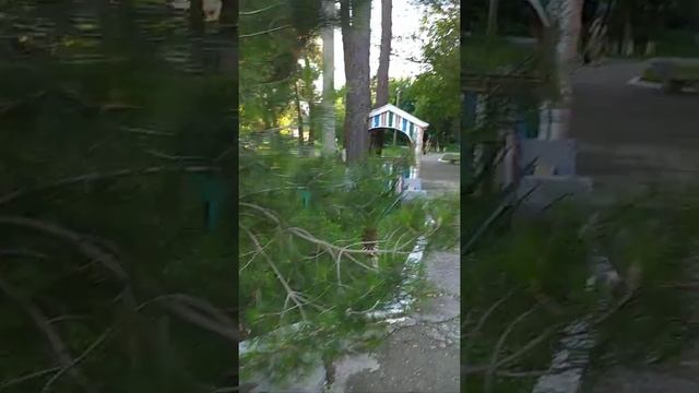Кемпинг "Скала парус" в Прасковеевке