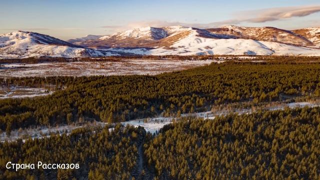 Неожиданно вернувшись домой с командировки, Наташа услышала приглушенный разговор мужа и свекрови..