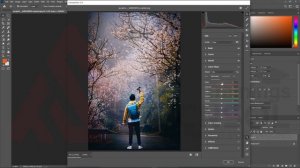 Adobe camera raw editing tutorial | Tecnsol