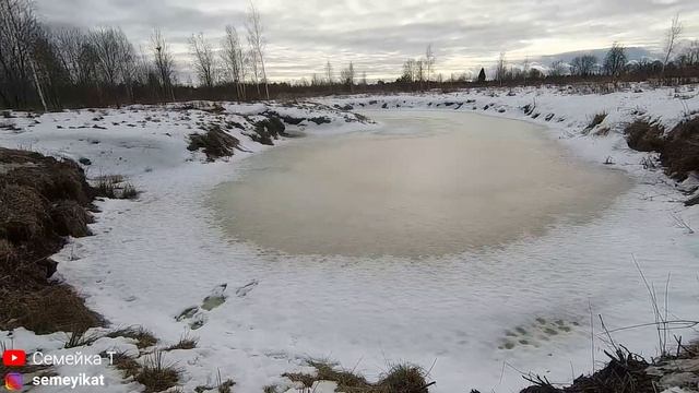 Неприятности в пруду на даче. Уровень воды и замер кислорода. Весна на пороге |Пруд для рыбы и рако