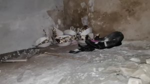 Что осталось от крупнейшего пионерлагеря "Юный ЗИЛовец"?