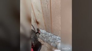 Борьба с трипсом на клубнике.