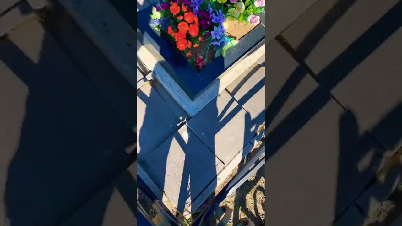 Кто Прав, Кто виноват? смотреть онлайн