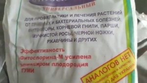 Цимбидиум.Реанимация.Посадка цимбидиума без корней.