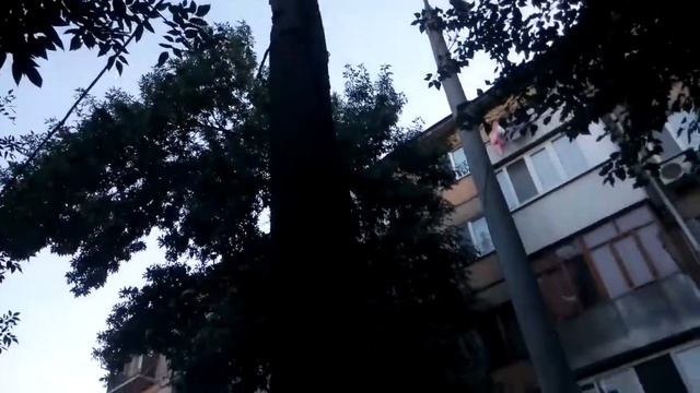 07.08.2017г.Бакинская,38-А.Гнилой кабель! смотреть онлайн