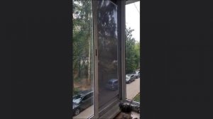 Антипыль