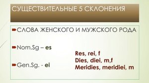 8. Существительные 4 и 5 склонения в латинском языке
