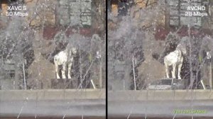 Sony HDR-CX405: XAVC S vs. AVCHD | Test Footage