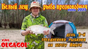 Три дня на реке День 2 Белый лещ - рыба пресноводная.