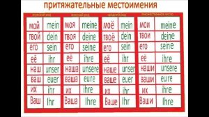 Притяжательные местоимения в немецком языке: Ты чьих будешь? | Grammatik A1