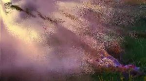 Вишневый туман  .... Катя Огонек