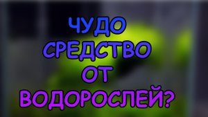 ЧУДО СРЕДСТВО ОТ ВОДОРОСЛЕЙ? #АКВАМЕН #АКВАРИУМ