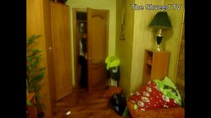 НЕ СПИСЫВАЙТЕ ГДЗ!!!!