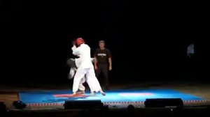 Показательные выступления по армейскому рукопашному бою