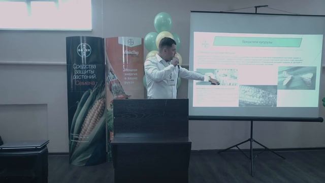 Как защитить кукурузу? Препараты компании Bayer и их аналоги.  Пузырчатая головня, фузариоз, гниль.