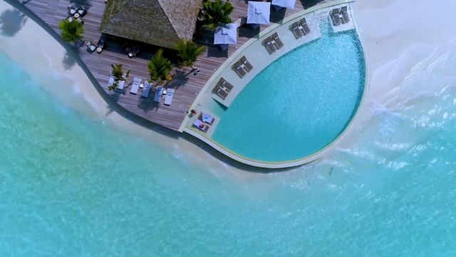 МАЛЬДИВЫ❤️ РЕЛАКС ❤️ШУМ ПРИБОЯ❤️ПЕНИЕ ПТИЦ ❤️РАЙСКОЕ НАСЛАЖДЕНИЕ смотреть онлайн