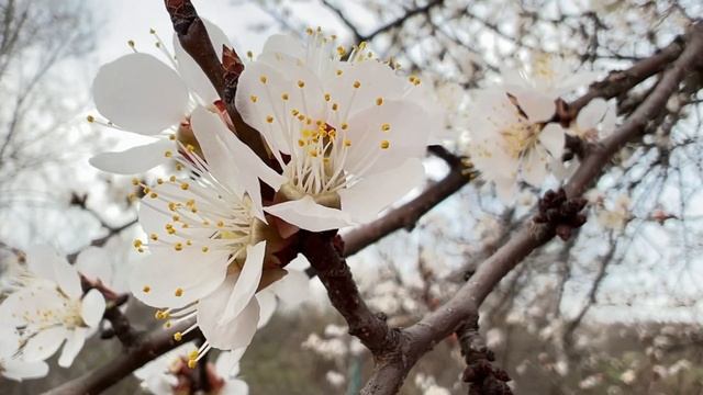 ПОЛНОЛУНИЕ 16 АПРЕЛЯ 2022. Что можно и нельзя делать в полнолуние. Ритуалы и обряды.
