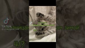 Ведьмочки/травницы tik tok 2023 ??