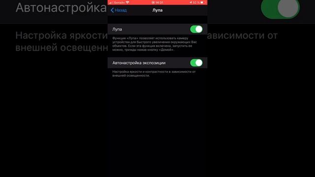 Как найти и включить Лупу на iPhone