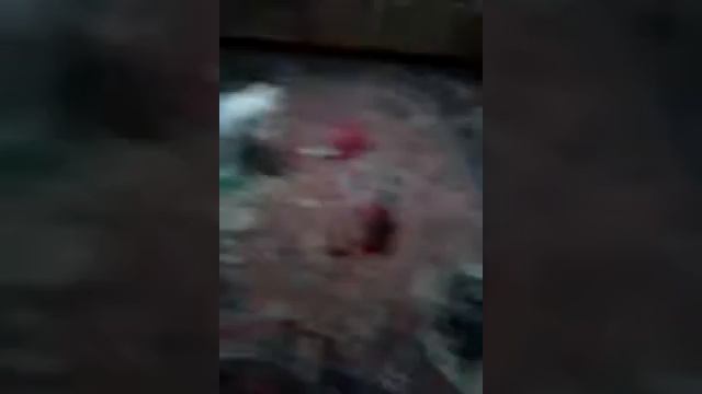 Я хочу,нет я хочу туфли джимичу и айфон хочу смотреть онлайн