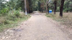 Как добраться до пляжа озера Боровое? База отдыха Боровое в подмосковье. Что там есть?