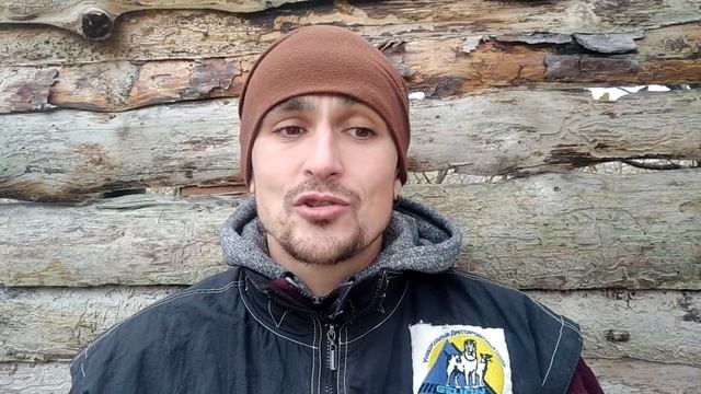 Собаки из приюта / Приюты для собак