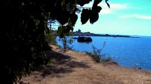 Парк в районе Войково и бухта Заколдованных животных