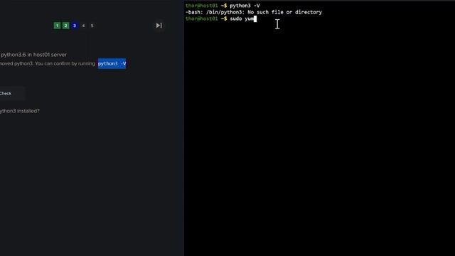 The AG DevOps Labs N°12: Mastering Python on Servers Installation, Management, and Script Execution