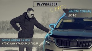 Skoda Kodiaq 1.4 DSG  что с ним стало за 3 года